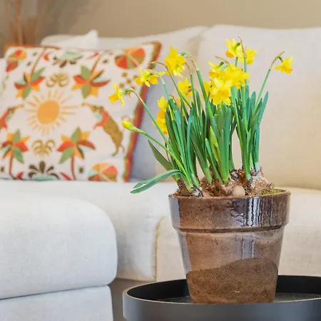 Casa Florita Cozy In Апартаменты